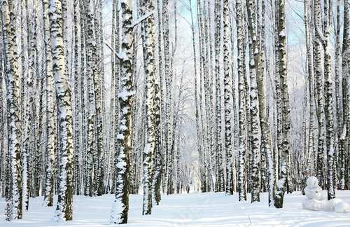 Naklejka wiejski pejzaż natura las