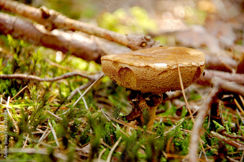 Naklejka natura pejzaż przepiękny lato niebo