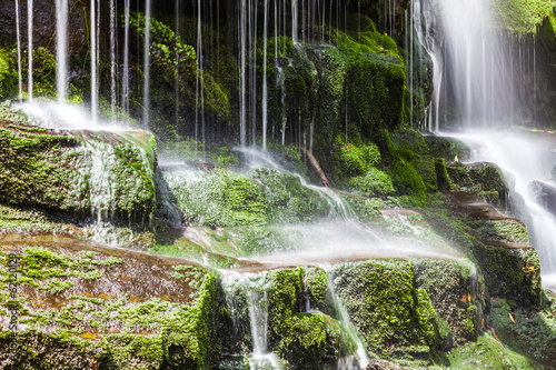 Naklejka wodospad pejzaż las mech natura