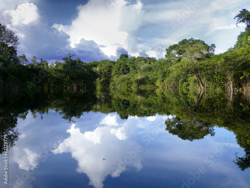 Fotoroleta krajobraz drzewa brazylia natura