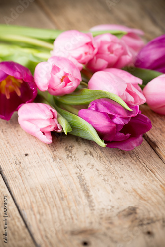 Naklejka roślina tulipan kompozycja piękny kwiat