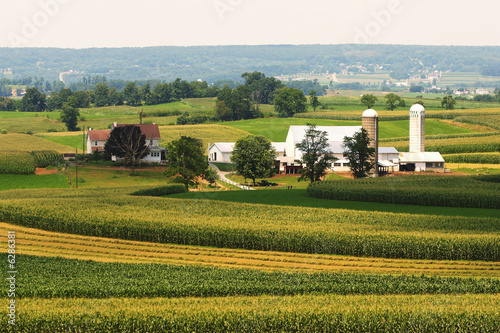 Obraz na płótnie rolnictwo natura wieś pole