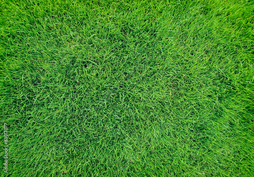 Obraz na płótnie wzór natura łąka