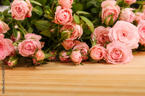Plakat kwiat rosa piękny miłość