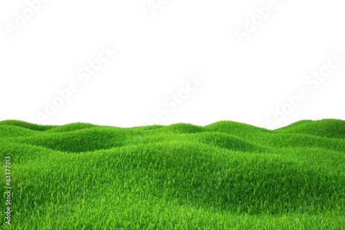 Plakat pastwisko łąka ogród natura