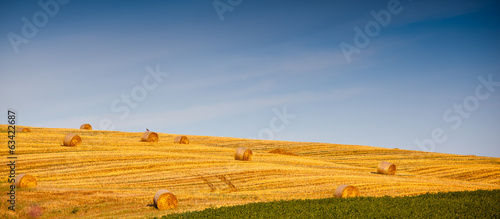 Fotoroleta pole pejzaż wiejski