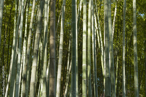 Fototapeta park azja świeży orientalne chiny