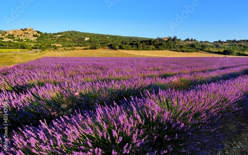 Plakat morze śródziemne natura lato