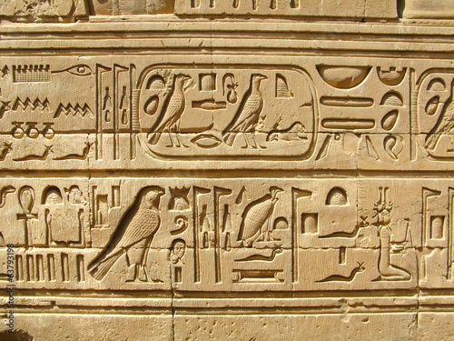 Fotoroleta krokodyl architektura egipt świątynia
