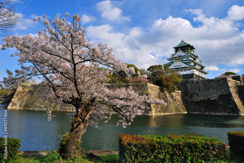 Naklejka stok wiśnia japonia świat