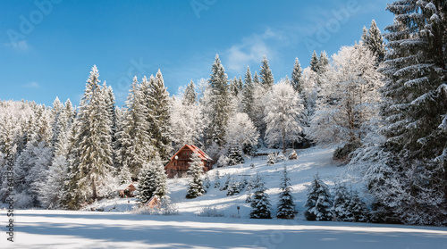 Fototapeta śnieg most krajobraz karpaty krzew