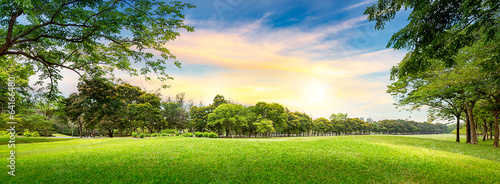 Plakat panorama roślina park