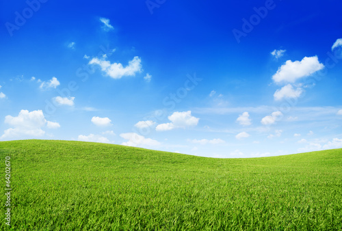 Obraz na płótnie pastwisko niebo łąka