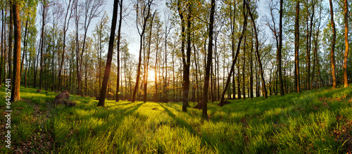 Naklejka wiejski panorama perspektywa