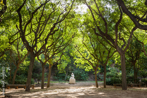 Naklejka spokojny drzewa park barcelona