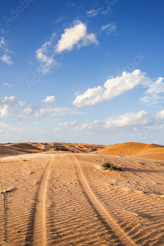 Obraz na płótnie pustynia arabian natura