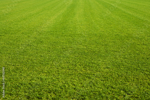 Naklejka pole trawa stadion piłkarski boisko stadion