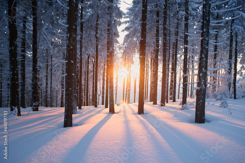Plakat Zimowy las o zachodzie słońca
