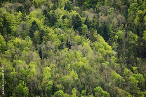 Plakat natura świeży wzgórze