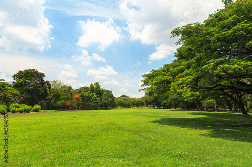 Plakat wiejski park drzewa lato