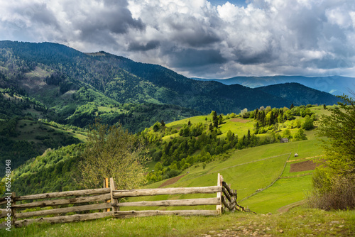 Plakat europa karpaty krajobraz pejzaż trawa