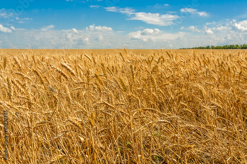 Naklejka pejzaż natura niebo