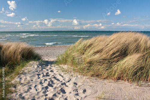 Fotoroleta ścieżka europa brzeg natura droga