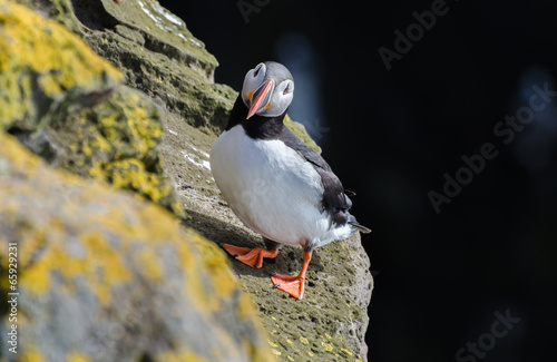 Fototapeta ładny islandia piękny