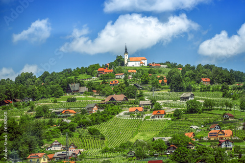 Naklejka trawa natura europa panoramiczny