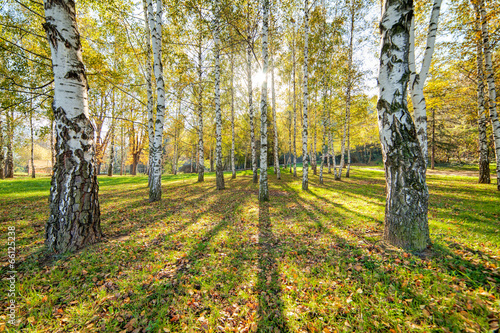 Naklejka natura kosmetyk piękny