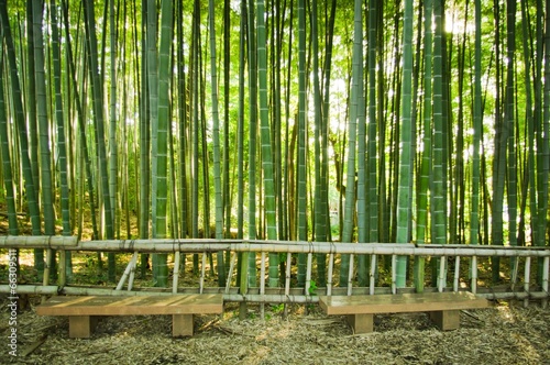 Fototapeta japonia zen bambus sztuka