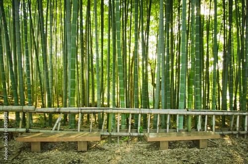 Obraz na płótnie japonia zen bambus sztuka