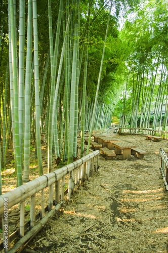 Naklejka zen droga japonia park ogród