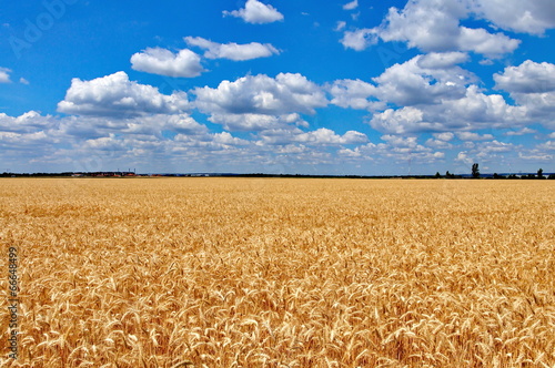 Naklejka niebo słońce natura