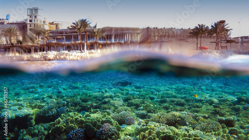 Plakat widok morze podwodne egipt