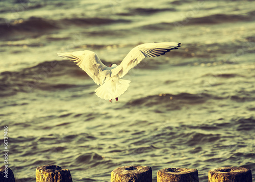 Naklejka plaża natura retro