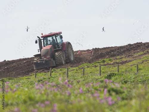 Naklejka natura niebo pole traktor pejzaż