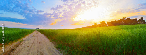 Plakat droga słońce panorama