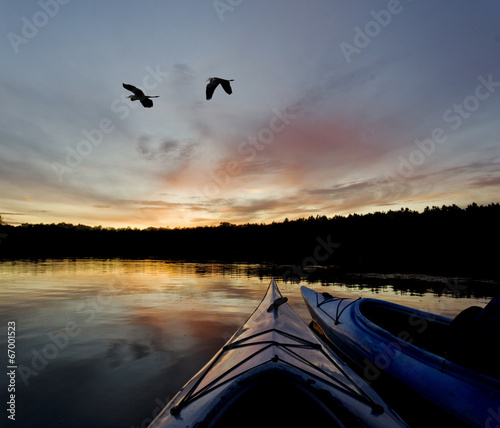 Fotoroleta zatoka natura drzewa bezdroża las