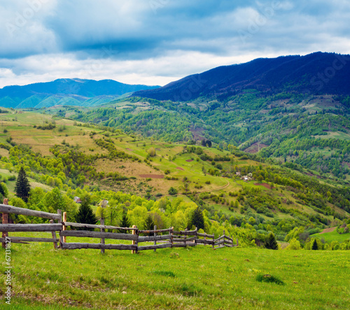 Naklejka polana pole ścieżka natura