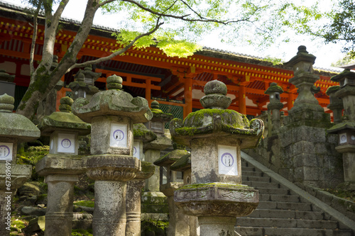 Fotoroleta sanktuarium japonia nara