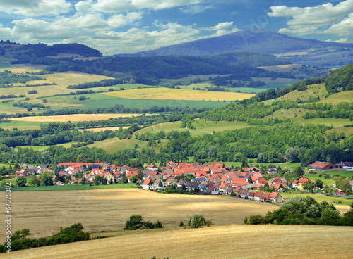 Naklejka miasto las krajobraz pole widok