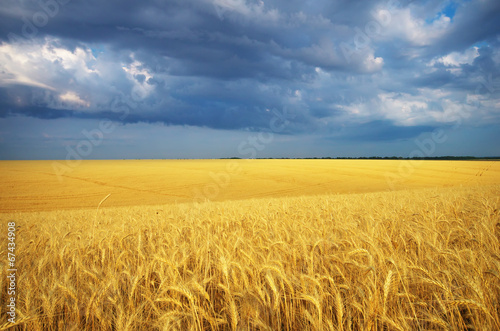 Plakat wieś słoma droga żniwa słońce