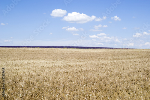 Fotoroleta wieś francja panoramiczny