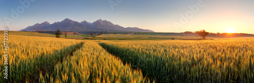 Naklejka tatry lato ziarno