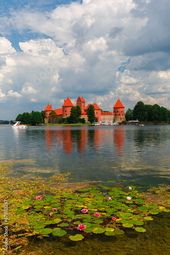 Obraz na płótnie woda lato las