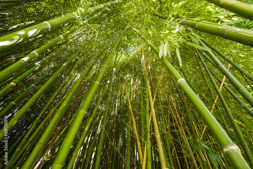 Naklejka japonia japoński zen azjatycki