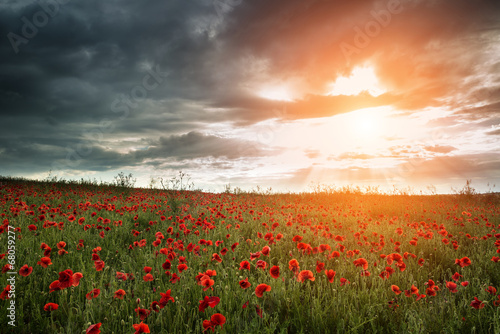 Fotoroleta wieś natura zmierzch pejzaż