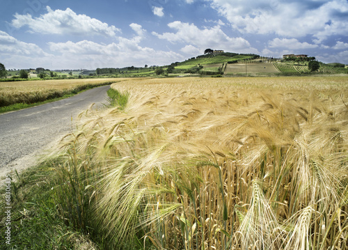 Naklejka panorama pejzaż słoma pole