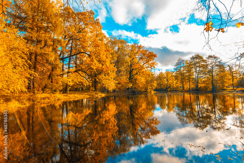 Fototapeta natura niebo wiejski